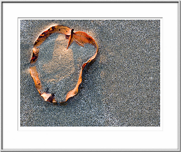 Image ID: 100-147-9 : Sand-filled Leaf 